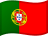 Portuguese Flag